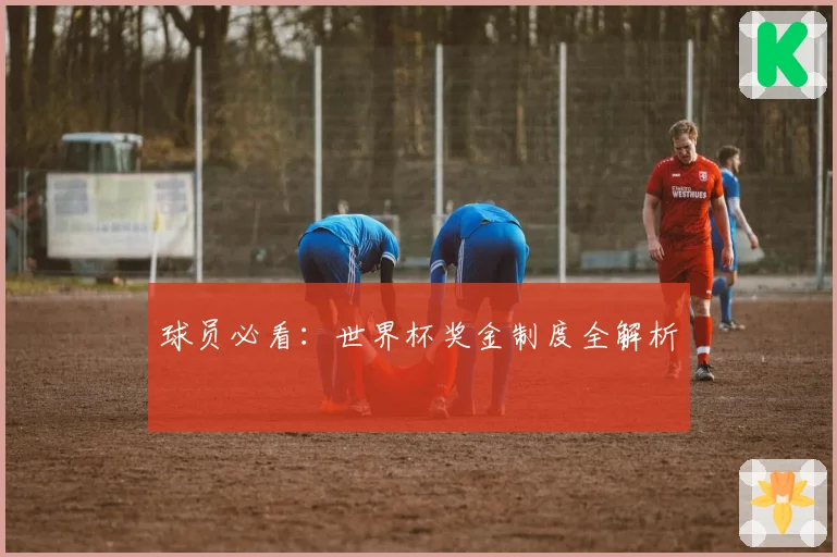 球员必看：世界杯奖金制度全解析