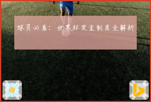球员必看：世界杯奖金制度全解析