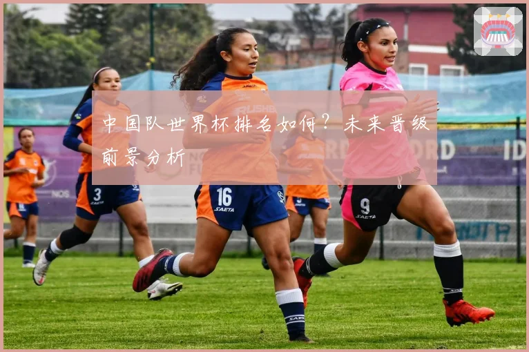中国队世界杯排名如何？未来晋级前景分析